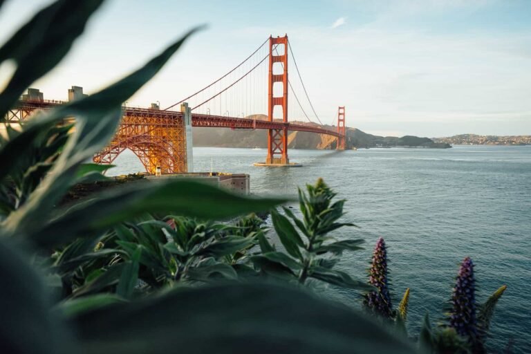 San Francisco’da Çocuklarla Yapılacak En İyi Şeyler